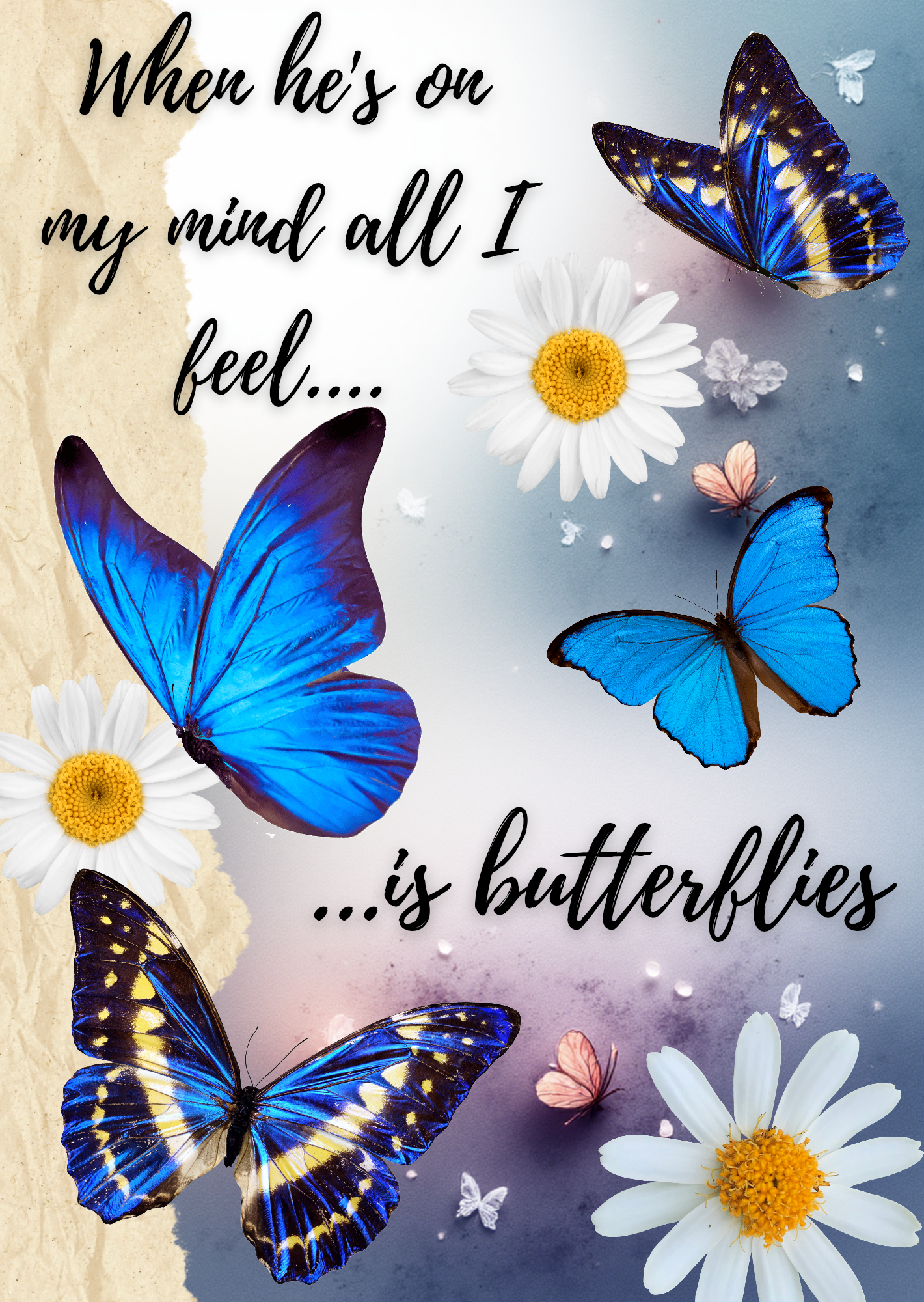 Decorative e-Reader Inserts